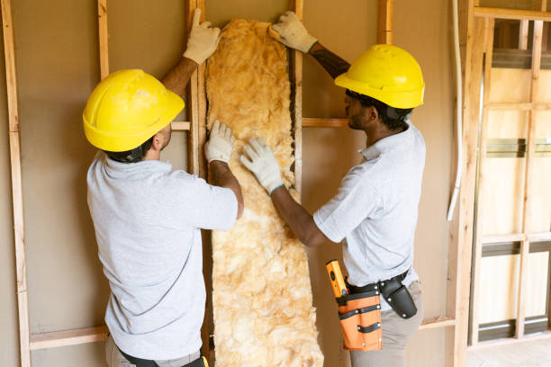 Professional Insulation in Greenwood Village, CO